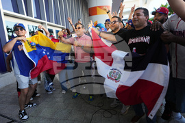 WBC Dominican Republic Venezuela Baseball