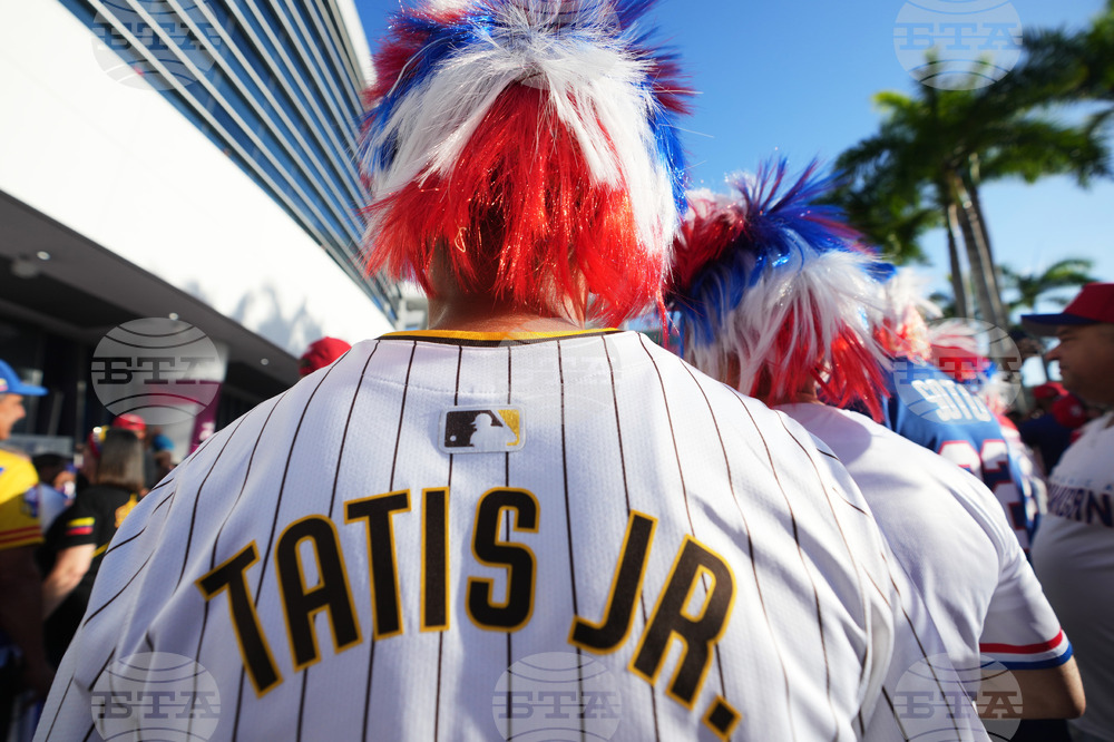 WBC Dominican Republic Venezuela Baseball