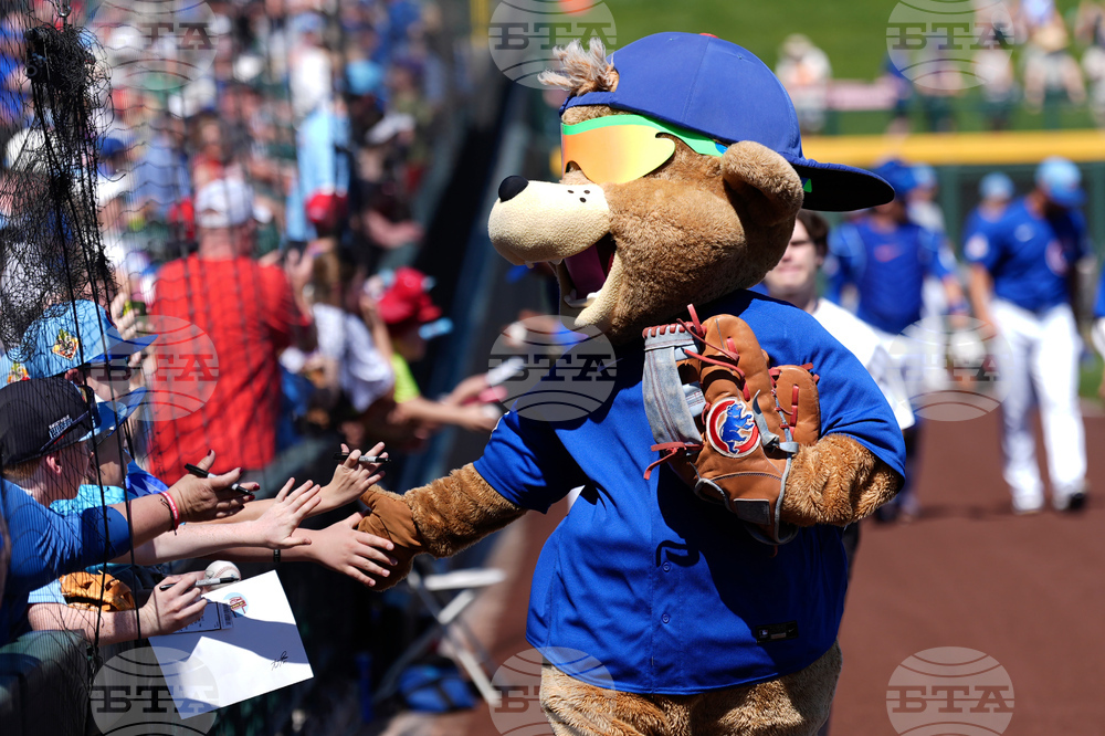 Royals Cubs Spring Baseball
