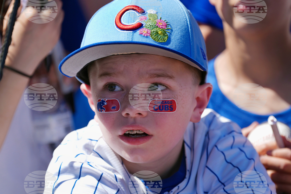 Royals Cubs Spring Baseball