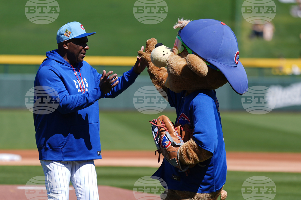 Royals Cubs Spring Baseball