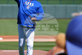 Royals Cubs Spring Baseball