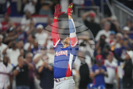 WBC Dominican Republic Venezuela Baseball