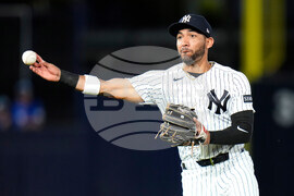 Blue Jays Yankees Baseball