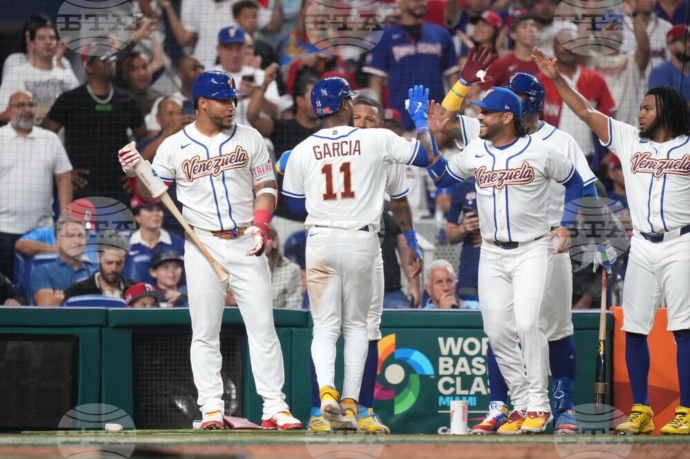 WBC Dominican Republic Venezuela Baseball