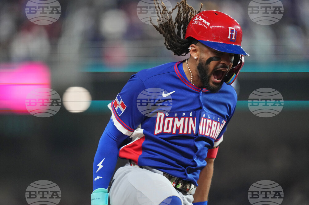 WBC Dominican Republic Venezuela Baseball