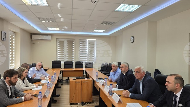 БАБХ и местната власт в област Кюстендил координират мерки за ограничаване на безстопанствените животни на пътя