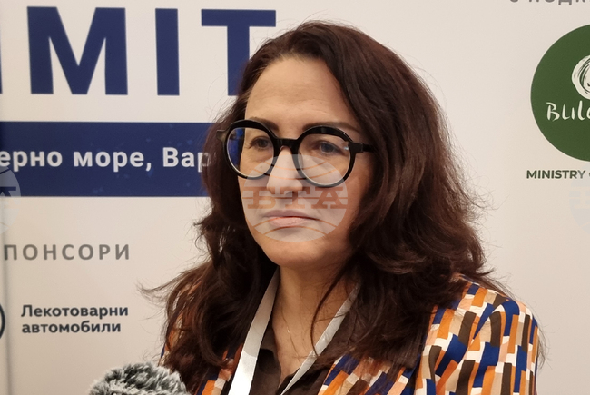 Варна вече има четири договора за реклама в Германия, каза зам.-кметът Снежана Апостолова