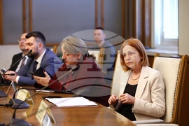 Народно събрание - Комисия по външна политика - заседание