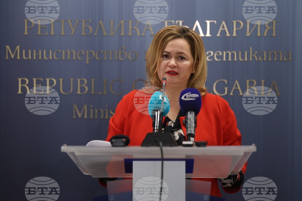 Министерство на енергетиката - Теодора Георгиева-Милева - брифинг