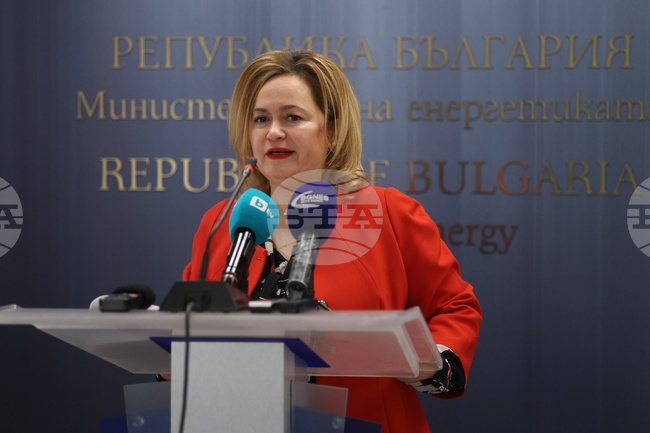 Вертикалният газов коридор е от ключова важност за нас, както и за останалите страни от проекта, каза зам.-министър Георгиева