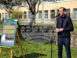 Ямбол - изложба - комикс - Средновековната крепост „Дъбилин“
