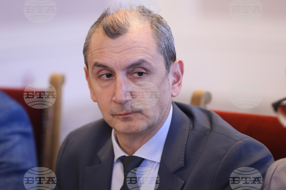 Health Minister, AmCham Bulgaria Discuss Healthcare System Development