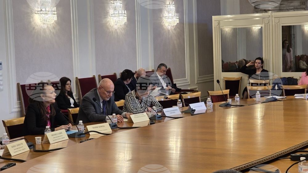 Central Bank Deputy Governor Nominee Heard by Parliamentary Budget Committee
