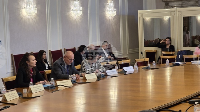 Карина Караиванова-Ганозова бе изслушана от бюджетната комисия като кандидат за подуправител на БНБ, който ще ръководи управление „Емисионно“