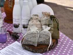 Снимка: Община Сливен 