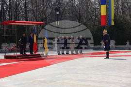 Румъния - Никушор Дан - Володимир Зеленски - среща