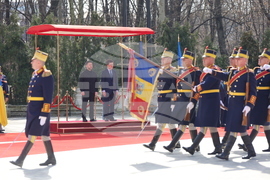Румъния - Никушор Дан - Володимир Зеленски - среща