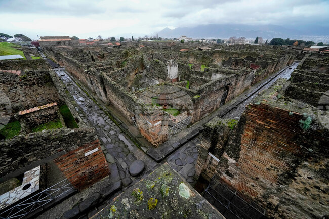 Italy Pompeii Victims Casts