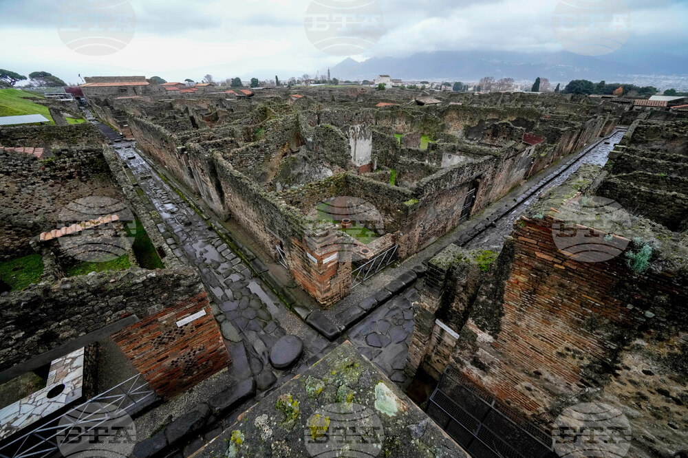 Italy Pompeii Victims Casts