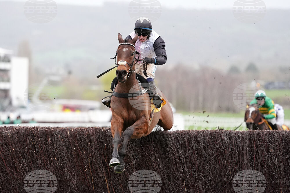 Britain Horse Racing Cheltenham