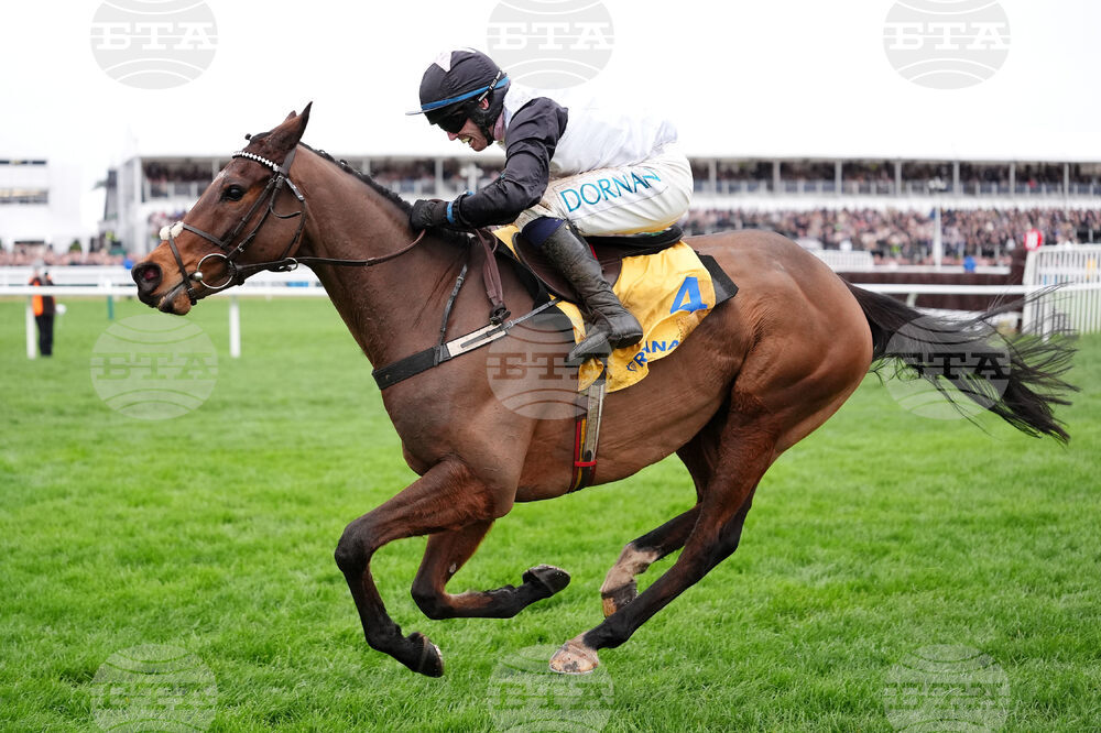 Britain Horse Racing Cheltenham