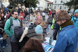 Пловдив - протест - градски транспорт