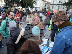 Пловдив - протест - градски транспорт