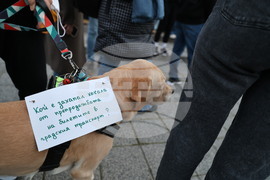Пловдив - протест - градски транспорт