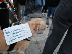 Пловдив - протест - градски транспорт