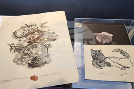 Варна - „По линията на наследството“ - фамилия Баръмови - изложба