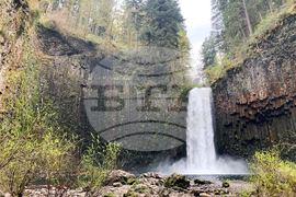 Waterfall Purchase Oregon