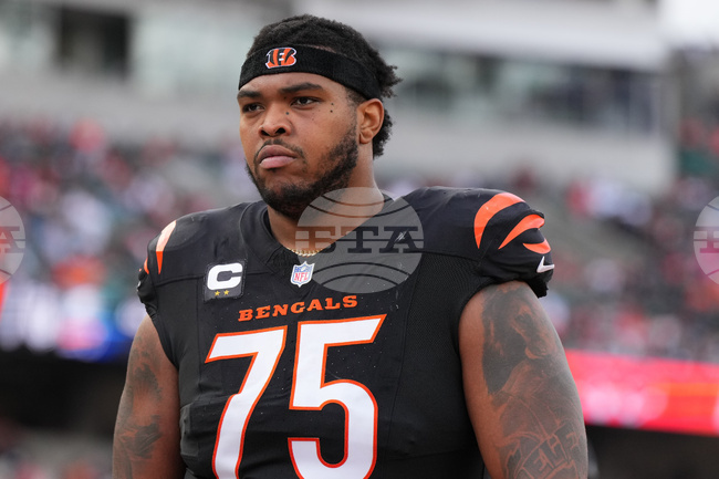Bengals Free Agency Football