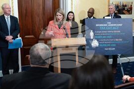 Senate Tax Bill