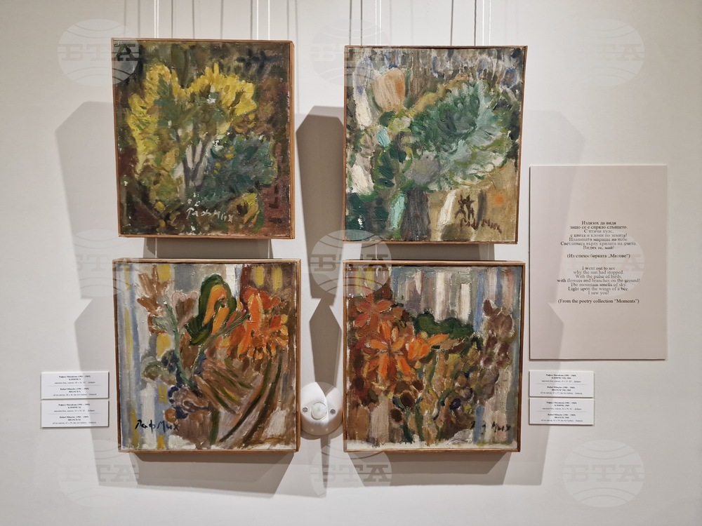 Велико Търново - изложба „Мигове“ - Рафаел Михайлов