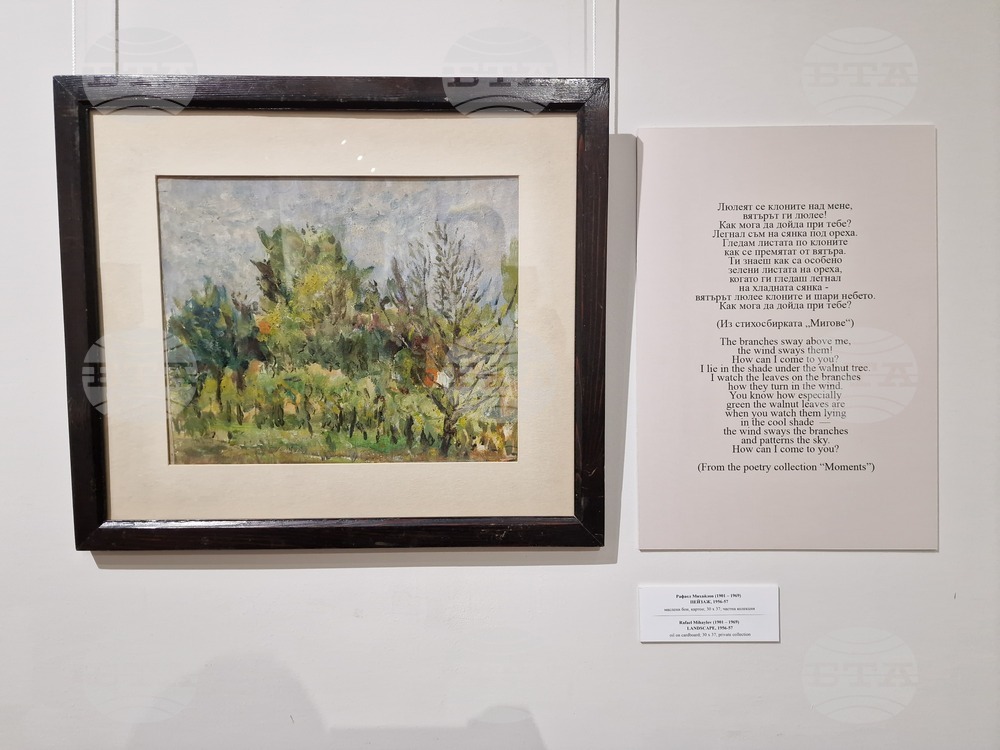 Велико Търново - изложба „Мигове“ - Рафаел Михайлов