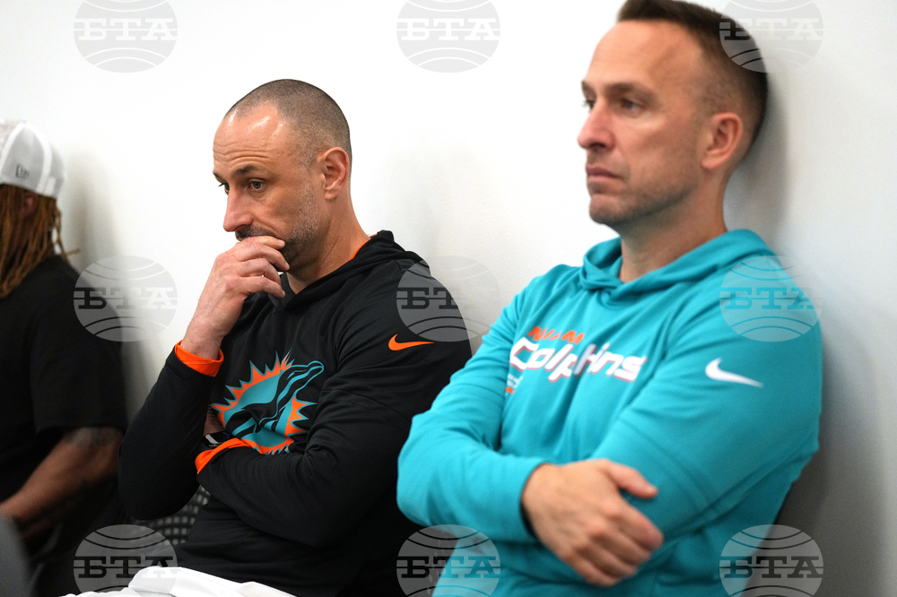 Dolphins Willis Football