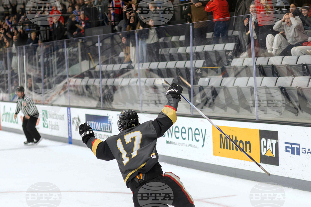 Ice Rink Shooting Game Hockey