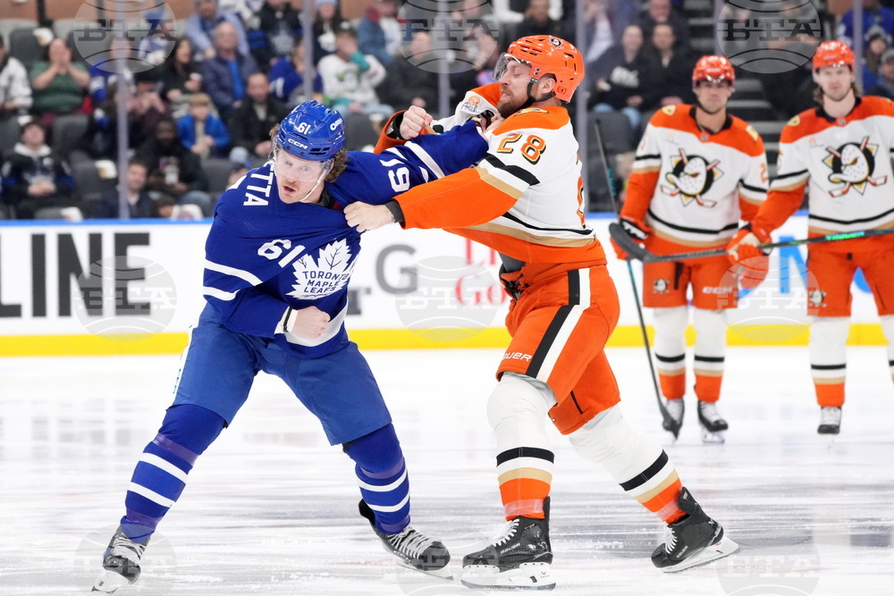 Ducks Maple Leafs Hockey