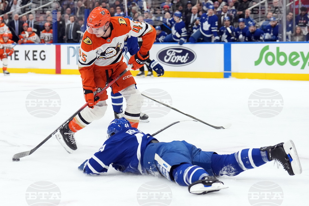 Ducks Maple Leafs Hockey