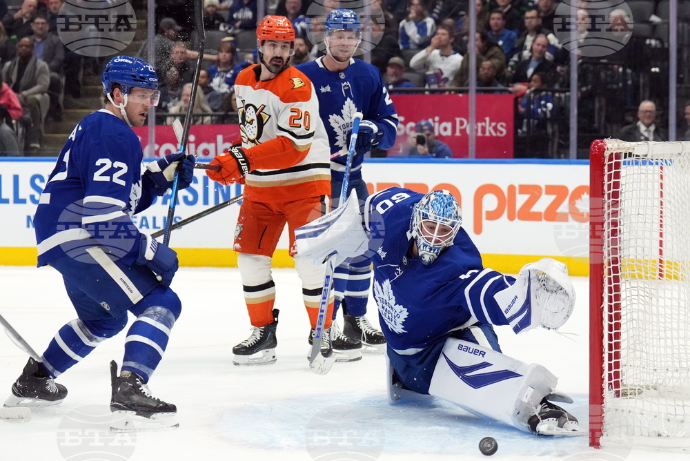 Ducks Maple Leafs Hockey
