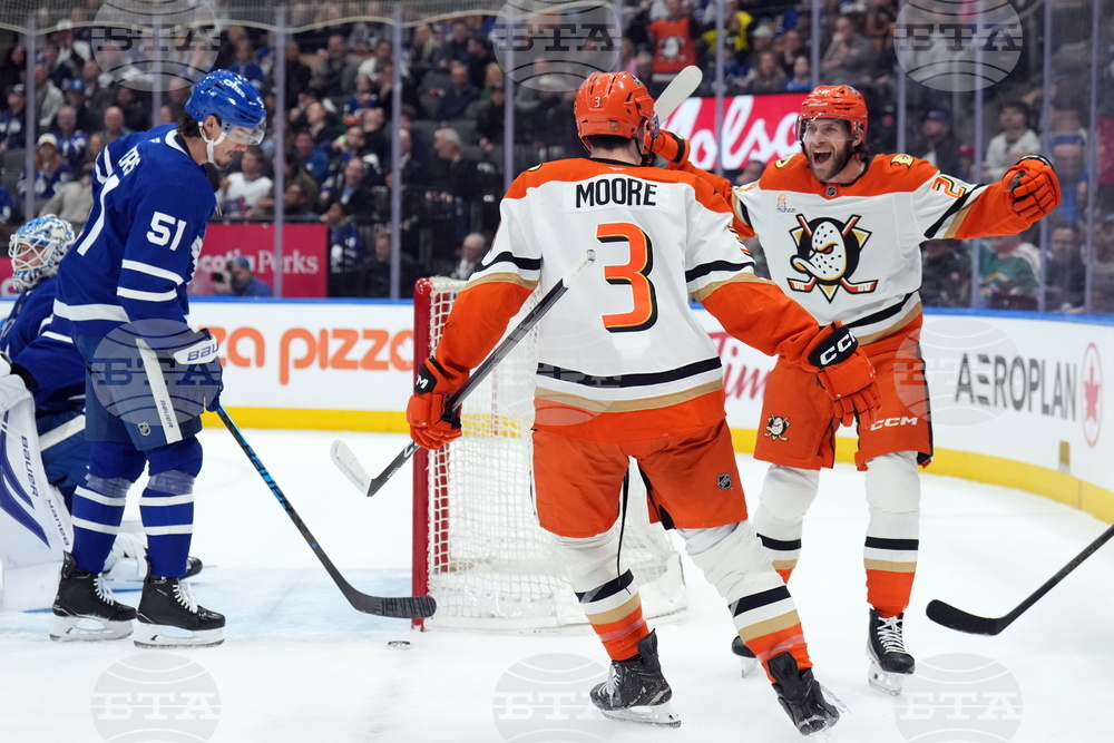 Ducks Maple Leafs Hockey