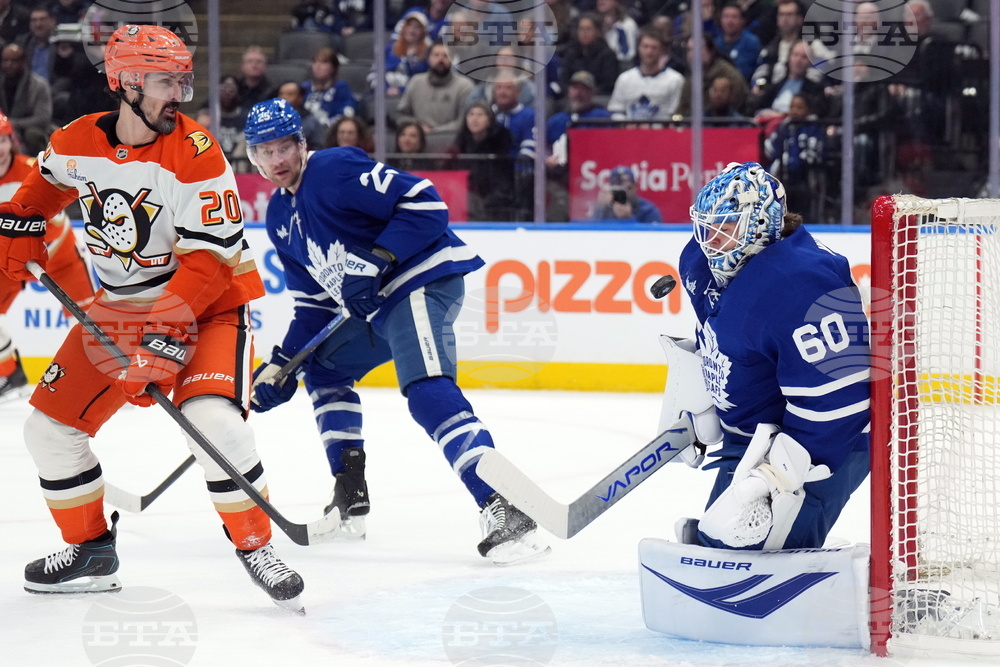 Ducks Maple Leafs Hockey