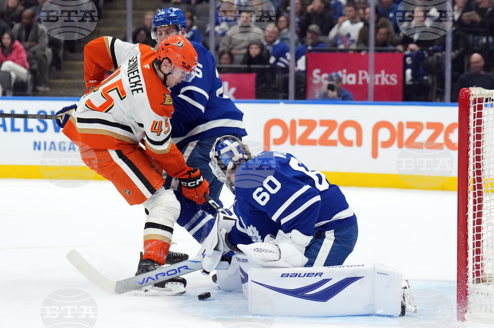 Ducks Maple Leafs Hockey