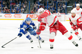 Red Wings Lightning Hockey