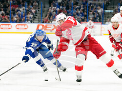 Red Wings Lightning Hockey