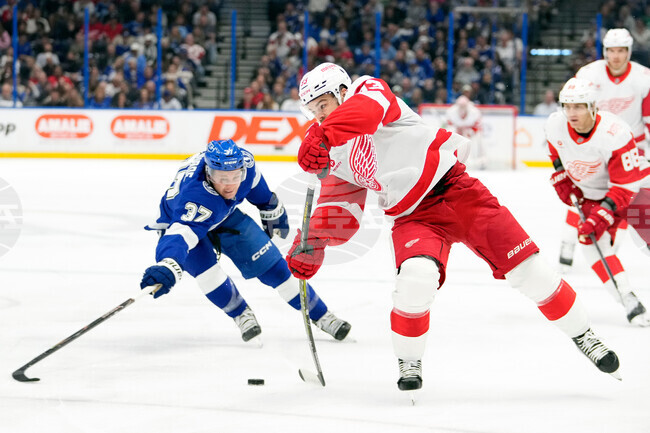 Red Wings Lightning Hockey