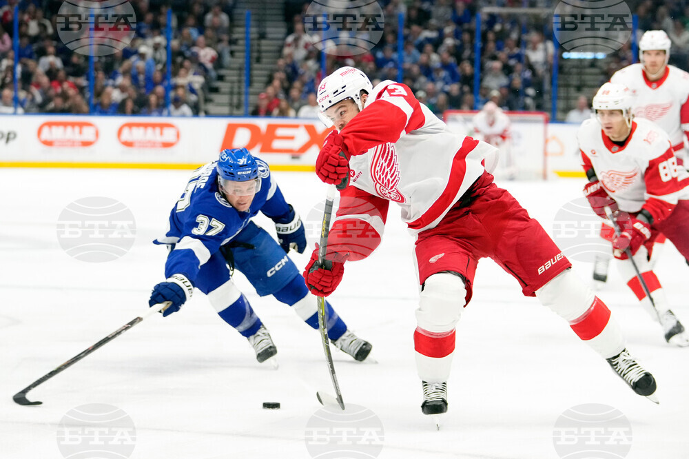 Red Wings Lightning Hockey