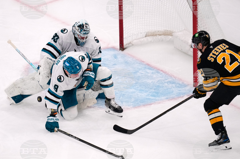 Sharks Bruins Hockey