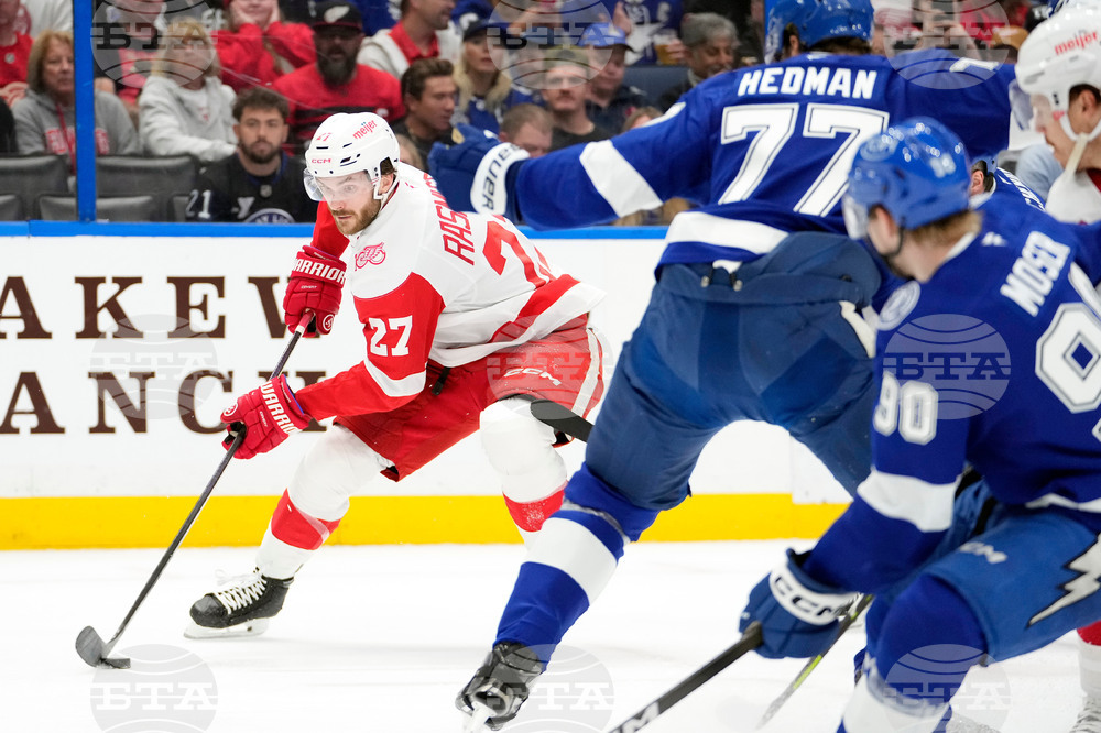 Red Wings Lightning Hockey